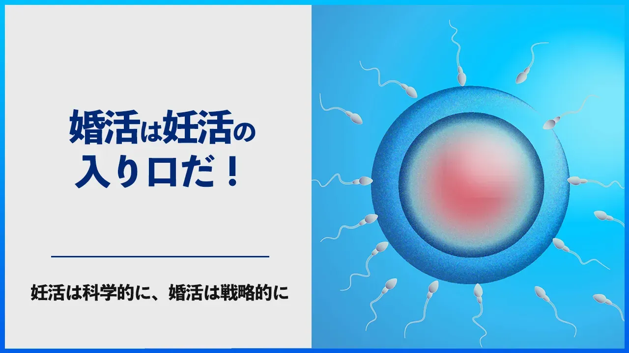 婚活と妊活のつながりを考える記事のアイキャッチ