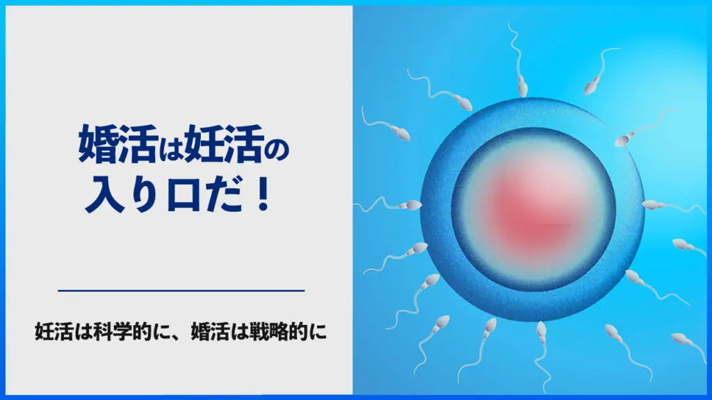 【男性必読】婚活は妊活の入り口だ|妊活は科学的に、婚活は戦略的に