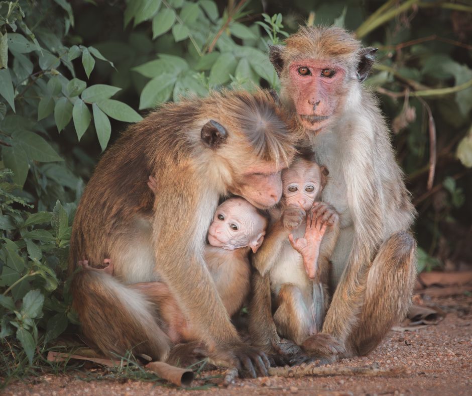 人間も動物も同じ